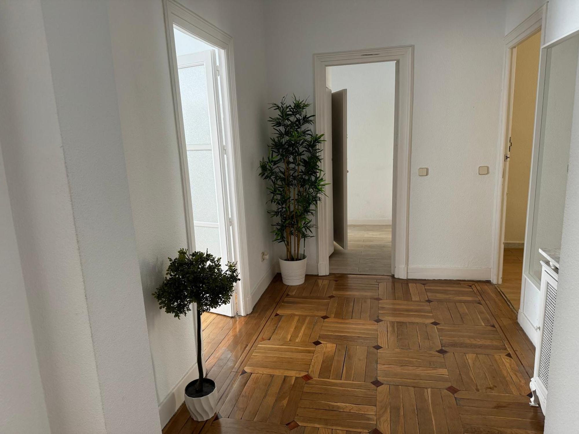 Apartamento 3 Hab Madrid Centro Eksteriør bilde